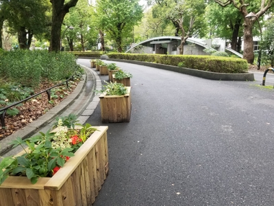 zJwNDiXEVTW4gqwgCmjl.jpg?w=940&h=940