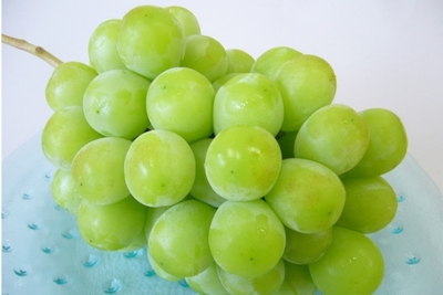 zJzAM2y63hqKsHE2y9UW.jpg?w=940&h=940