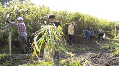 zK8edr3Uqoe5WKRPtuPq.jpg?w=940&h=940