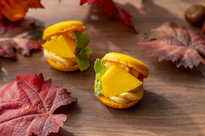 zKEoIxKke6Ji5kPEnnVC.jpg?w=940&h=940