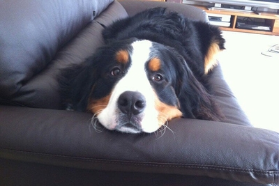 zLxBuTuIeZaQH9Xc2njX.jpg?w=940&h=940