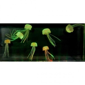 zMzHny0RyQ545ff6IV9H.jpg?w=940&h=940