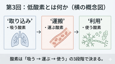 zN5A8hc7575J8glklZfS.png?w=940&h=940