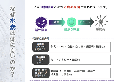 zNLJNLTm9yC41kB8i4Rz.png?w=940&h=940