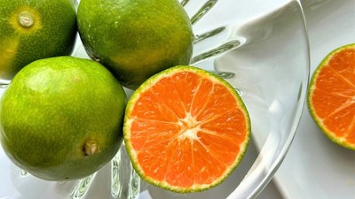 三重南紀みかん｢味一号｣ 