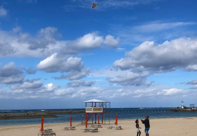 zNiuOQ0kHip7ZFG59Sa3.jpg?w=940&h=940