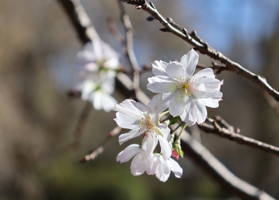 zO0fi2EHPF6lM5cCXfnK.jpg?w=940&h=940