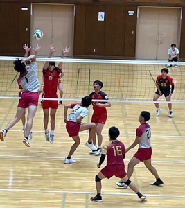 zOgQIULcJW2EknZy862u.jpg?w=940&h=940