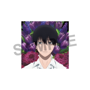 zP3AmqMaTFP16E8bVBF9.jpg?w=940&h=940