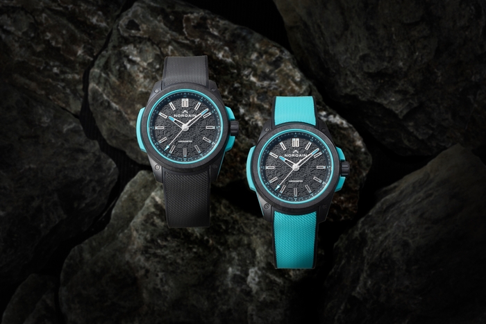 ノルケイン ワイルドワン HARADA限定モデル