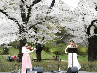 さくらコンサート（令和７年撮影）