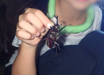 「夏休みプレミアムガイドウォーク　夕暮れからはじまる自然観察＆明かりを消して夜空を眺めよう！」小峰公園で8月23日(土)開催