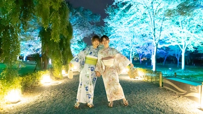 夏の京都旅行に。夜の二条城のライトアップ夏祭りと着物レンタルのセット販売を開始。