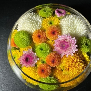 zROxju2eerVfROB3XYKf.jpg?w=940&h=940