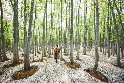 zRj9Nje7asEMiW9rzaFa.jpg?w=940&h=940