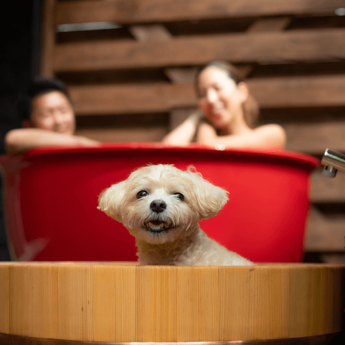 わんちゃん露天風呂