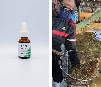 RG92エキスと、水産養殖現場での活用イメージ（画像提供：株式会社SARABiO温泉微生物研究所）