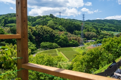 zTCviywPZZ6Sgbn2qRIS.jpg?w=940&h=940