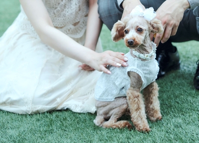 zUfVKBlTJ2IoQWirS7eP.jpg?w=940&h=940