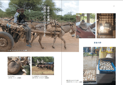 zVJa9EJetMneHkwajBAI.png?w=940&h=940