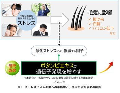 zWnIuMGdWXjMbJtlH7ke.png?w=940&h=940