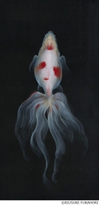 《大渦》 2010年