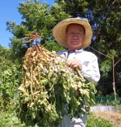 神崎落花生を残そうと奮闘されている生産者の村上氏