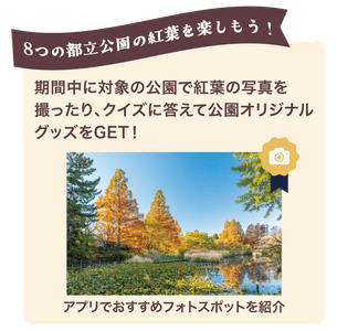 zau9Ru9w3erFuBVjyGMg.png?w=940&h=940