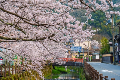 zc7KVXCAzmyXnSWPqlGT.jpg?w=940&h=940