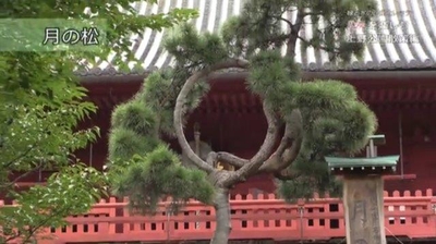 zcUwS48lJUmDGG3Lsb0Q.jpg?w=940&h=940