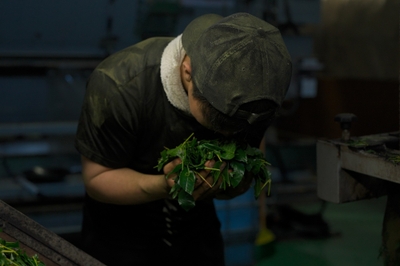 zdsSG4bXXo9DoLPtP6hB.jpg?w=940&h=940