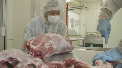 ze96xaeE3pJslFzekoGu.jpg?w=940&h=940