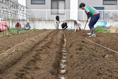 地域交流拠点「こうのすえん」での収穫の様子。子どもから高齢者まで多世代が関わる地域の居場所となっている。
