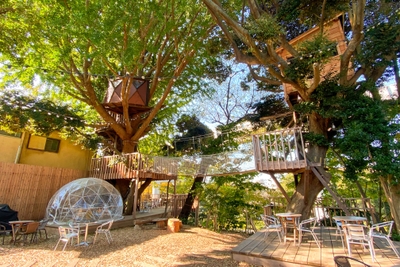 zfZzztd7kTfKF7fXizkT.jpg?w=940&h=940