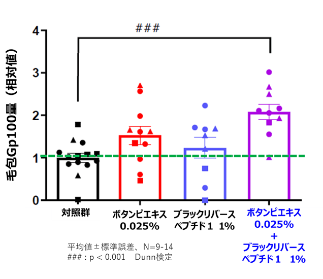 図2.毛包におけるGp100量への影響