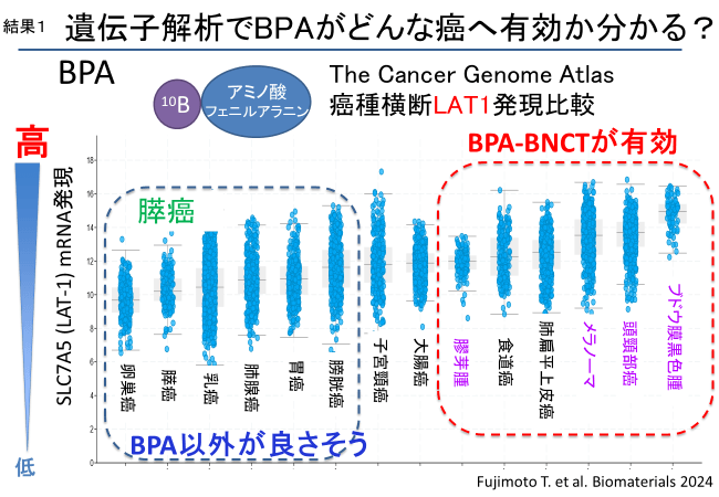 結果1 遺伝子解析でBPAがどんな癌へ有効か分かる?