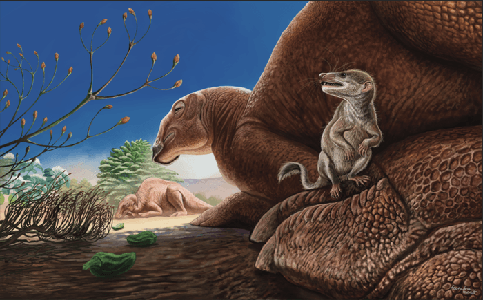 当時の復元画。ゴビハドロス(恐竜)の足の上に乗るラウジャア・イシイイ(手前の哺乳類)のイメージ図 ©府高航平