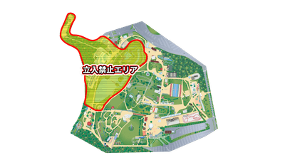 zhG0iCHOxiQJU0IIqOdk.png?w=940&h=940