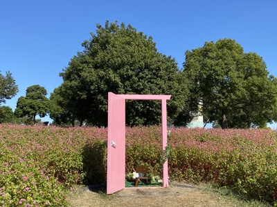 赤そば花壇に設置されたフォトスポット