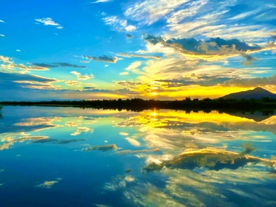 フォトコンテスト2023スマホ部門グランプリ作品