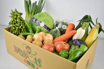 zhvPqyTqtd6e5sIGyJy6.png?w=940&h=940