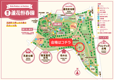 zjX2b9Ul5LCcdtuibtHA.png?w=940&h=940