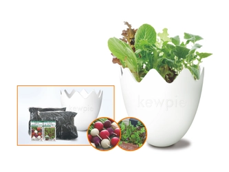 抽選で4,000名様にプレゼント「おうちで野菜をつくろう 収穫体験キット&オリジナルレシピブック プレゼントキャンペーン」を実施