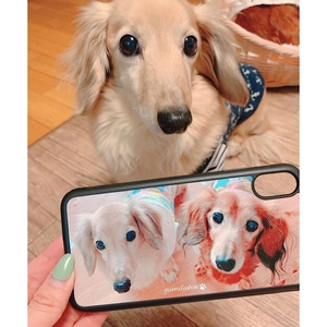 zjbSS2cZZedQS4UZH5gg.jpg?w=940&h=940