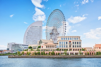 zjby5HUbPVkx106xBwOc.jpg?w=940&h=940