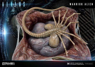 zkGwxNbwTzNv2YbuStkM.jpg?w=940&h=940