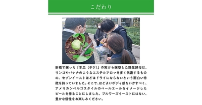 zkrLfIaDbs1QBJ7HAwwB.jpg?w=940&h=940