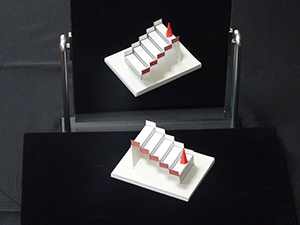 世界錯覚コンテストで4度目の世界一 明治大学 杉原厚吉先生の錯視研究  