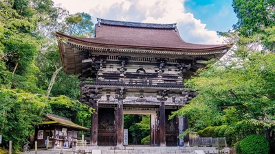 zmIIO5YkJRWwBUT0KyWs.jpg?w=940&h=940