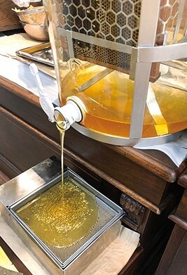東武のはちみつ 蜜搾り体験